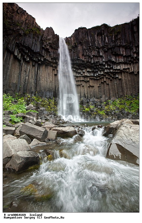 ��������, ����, �������, ������